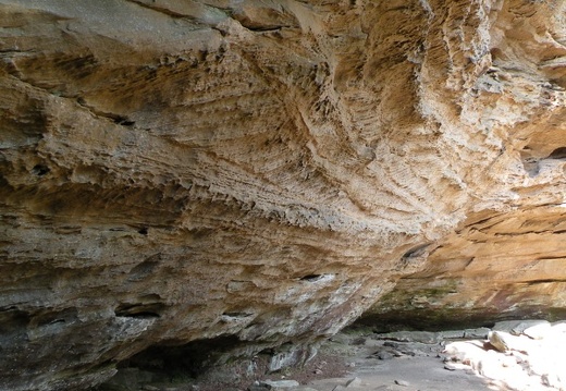 Rough Trail, Red River Gorge